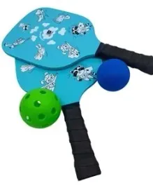 gra-plenerowa-funsport-sunflex-pickleball-heroes