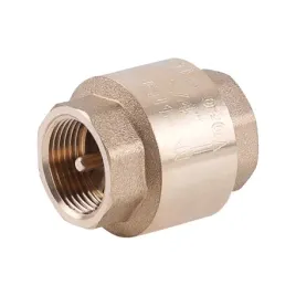 perfexim-zawor-zwrotny-z-mosieznym-grzybkiem-4-dn100-pha-020-04-020-1000-0