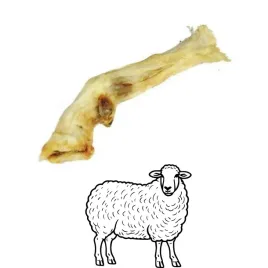 pako-przysmak-psa-psow-naturalny-kosc-noga-jagnieca-gryzak-dlugie-godziny