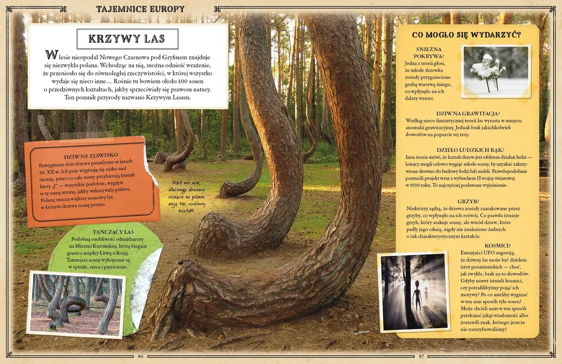 tajemnice-swiata-stan-nowy