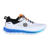 341aws0169592010