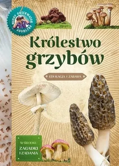 krolestwo-grzybow