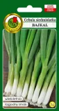 cebula-siedmiolatka-bajkal