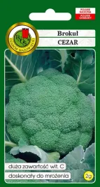 brokul-cezar-2g