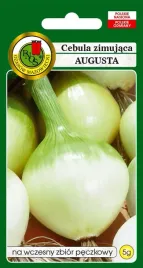 cebula-zimujaca-augusta-5g