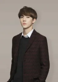 plakat-a3-k-pop-kpop-exo
