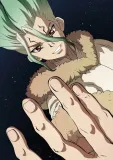 plakat-a3-dr-stone-senkuu