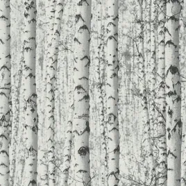 tapeta-zmywalna-na-flizelinie-as-38719-1-brzozy