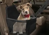 transporter-mata-nosidelko-dla-psa-do-auta-marka-inna