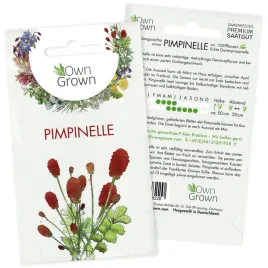 krwisciag-salatkowy-nasiona-premium-1000-sztuk-zestaw-do-ogrodu-i-na-balkon