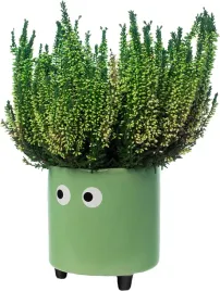 doniczka-ceramika-zielony-fisura-11-cm-x-125-x-13-cm