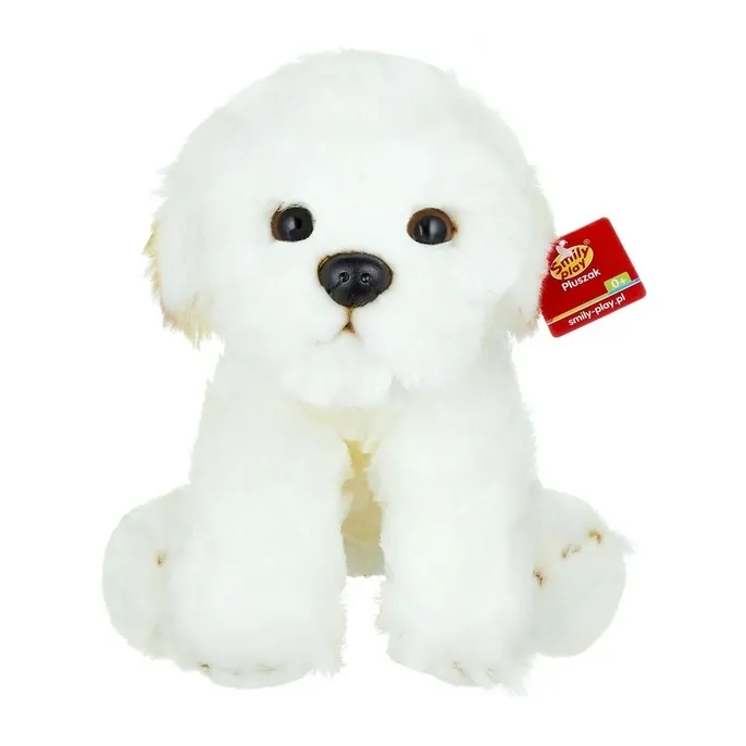 pluszak-pies-bichon-bialy-smily-play