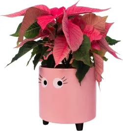 doniczka-ceramika-rozowy-fisura-11-cm-x-125-x-13-cm