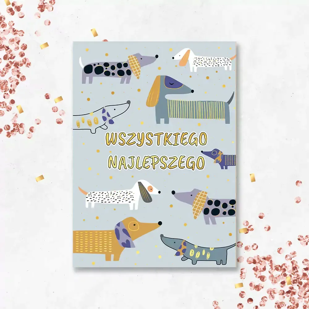 karnet-szare-psy-stan-nowy