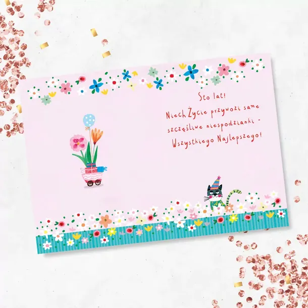 karnet-kot-w-aucie-marka-inna