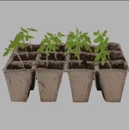 taca-do-uprawy-z-przegrodkami-16x12x45cm-5szt