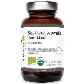 kenay-soplowka-jezowata-lion-s-mane-60vegcaps