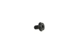 dewalt-648697-00-sruba-mocujaca-tarcze-do-dcs391