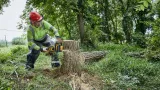 dewalt-pila-lancuchowa-45cm-flexvolt-dcmcs574x-waga-urzadzenia-5-kg