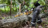 dewalt-pila-lancuchowa-45cm-flexvolt-dcmcs574x-zasilanie-akumulatorowe