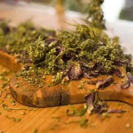 herbatka-konopno-makowa-30g-hemp