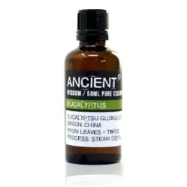 olejek-eteryczny-eukaliptus-eucalyptus-100percent-50-ml