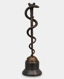laska-eskulapa-symbol-medycyny-rzezba-z-brazu