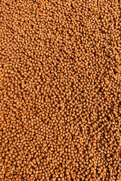 feeder-bait-pellet-2mm-800g-mango
