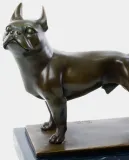 buldog-francuski