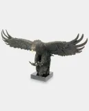 polujacy-orzel