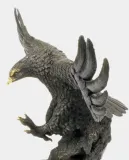 polujacy-orzel