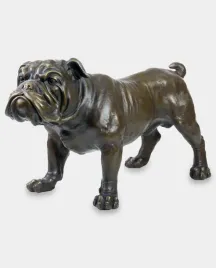 buldog-angielski