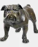 buldog-angielski
