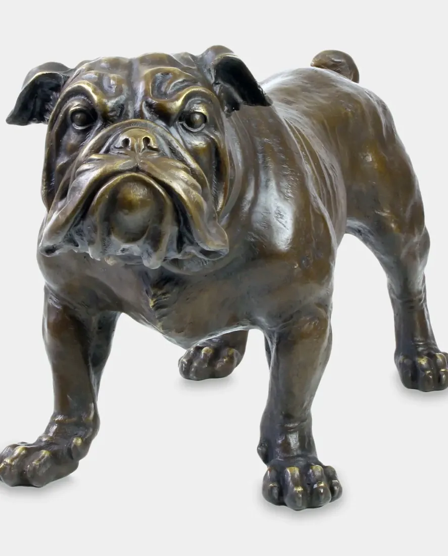 buldog-angielski
