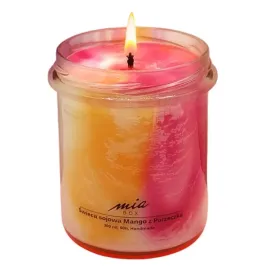 marmurkowa-swieca-sojowa-mango-i-czarna-porzeczka-a-240g
