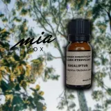 olejek-eteryczny-eukaliptus-stan-nowy