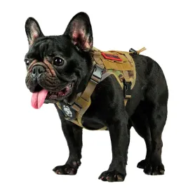 onetigris-szelki-taktyczne-dla-psa-nylon-1000d-xxs-wielokolorowe