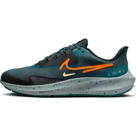 air-zoom-pegasus-39-shield