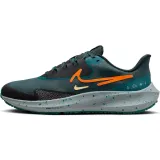 air-zoom-pegasus-39-shield