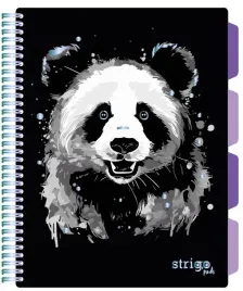 strigo-project-book-panda-b5-kratka-czarny-100k-80g