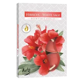 podgrzewacze-zapachowe-tealight-bispol-4h-hibiskus-i-biala-szalwia-6-sztuk