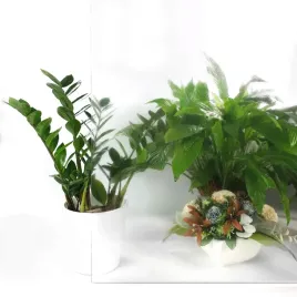 samoprzylepna-polyskowa-ochronna-folia-okienna-na-meble-szybe-okna-90x25