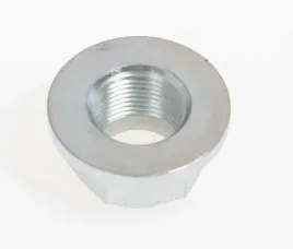 nakretka-piasty-kola-733884-bta