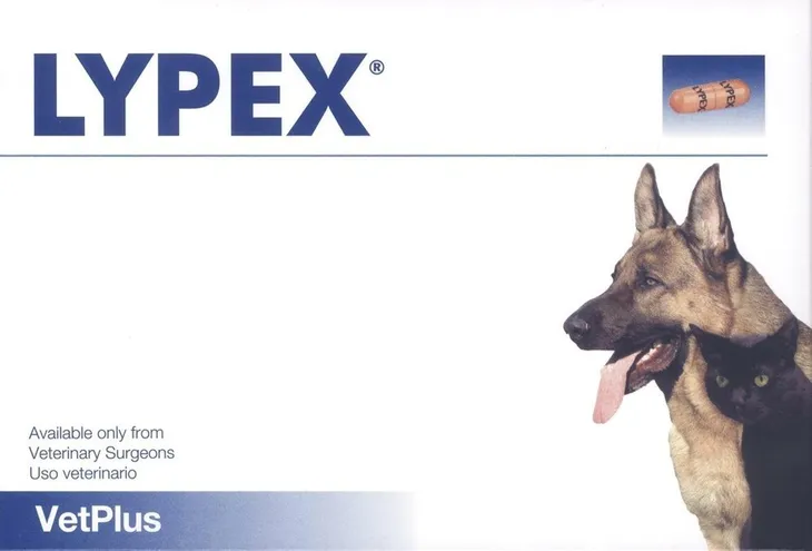 vetplus-lypex-60-kapsulek-cechy-dodatkowe-do-stosowania-w-sposob-ciagly