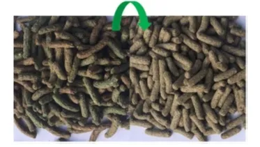 versele-laga-cuni-nature-9kg