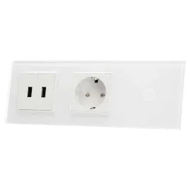 701g2usb-61-wlacznik-pojedyn-gniazdo-2xusb-livolo