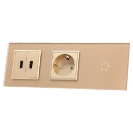 701g2usb-63-wlacznik-pojedyn-gniazdo-2xusb-livolo