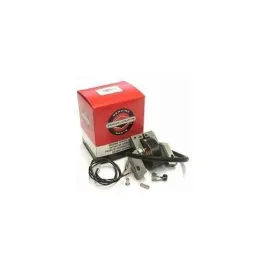 cewka-zaplonowa-briggsandstratton-seria-400-500-classic-793281-591420