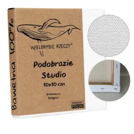 plotno-malarskie-mini-10x10-grube-az-350g-m-podobrazie-blejtram-bawelniane