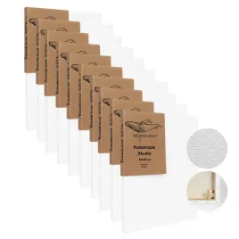 plotno-malarskie-30x40-10szt-podobrazie-350g-m-blejtram-do-malowania-biale